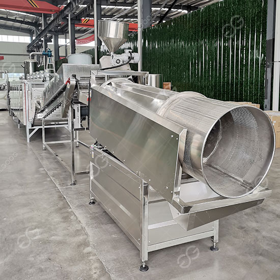 Sunflower-Seeds-Roasting-Line.jpg