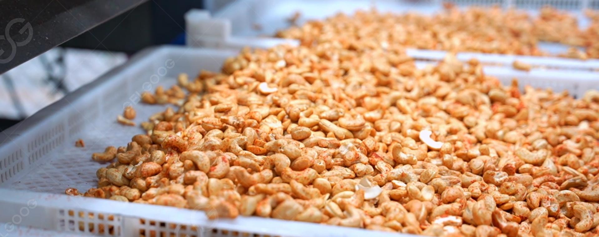 banner-cashew-roasting-seasoning-line.jpg